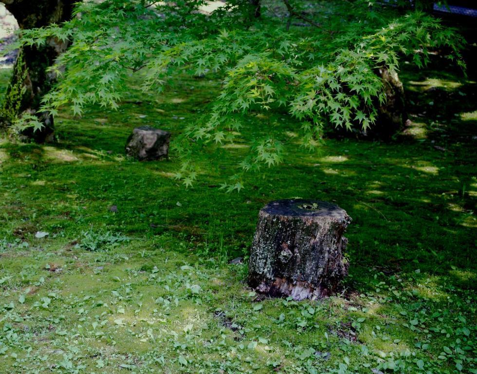 Kamata Hotel Yugawara Eksteriør billede